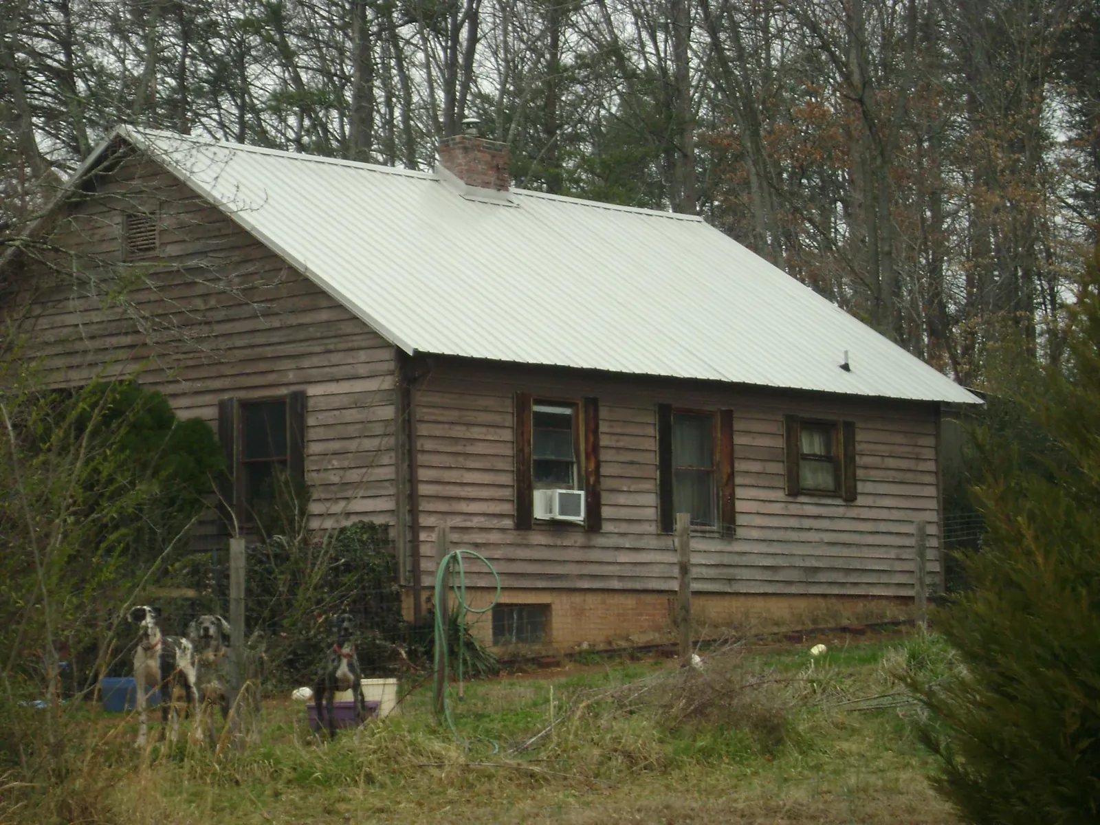 White metal roof on an old wood sided farmhouse, from a Asphalt Shingle Roof Repair job in Northwood